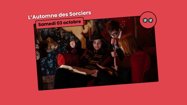 SEO automne